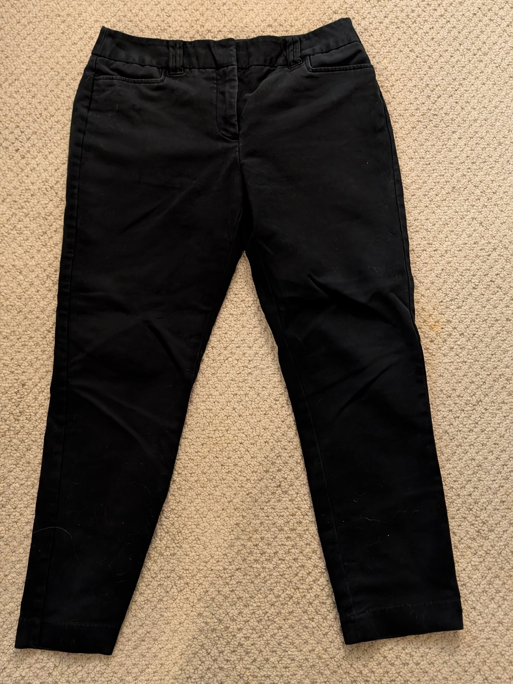 Charter Club Black Classic Fit Ankle Length Pants, Size 6P